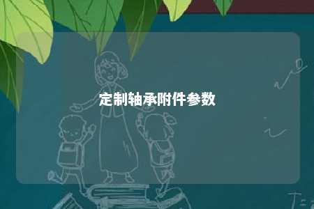 定制轴承附件参数 