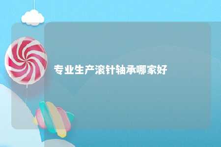 专业生产滚针轴承哪家好 