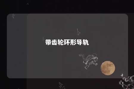 带齿轮环形导轨 